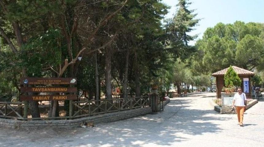 Didim'de Orman Kampındaki Değişim Vatandaşı Memnun Etti