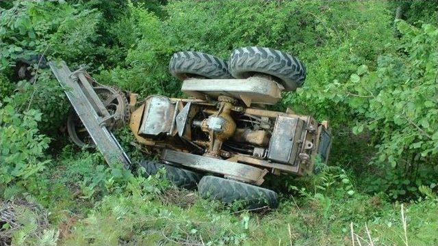 (özel Haber) İş Makinesi Hayvana Çarpmamak İçin Yoldan Çıkarak Devrildi