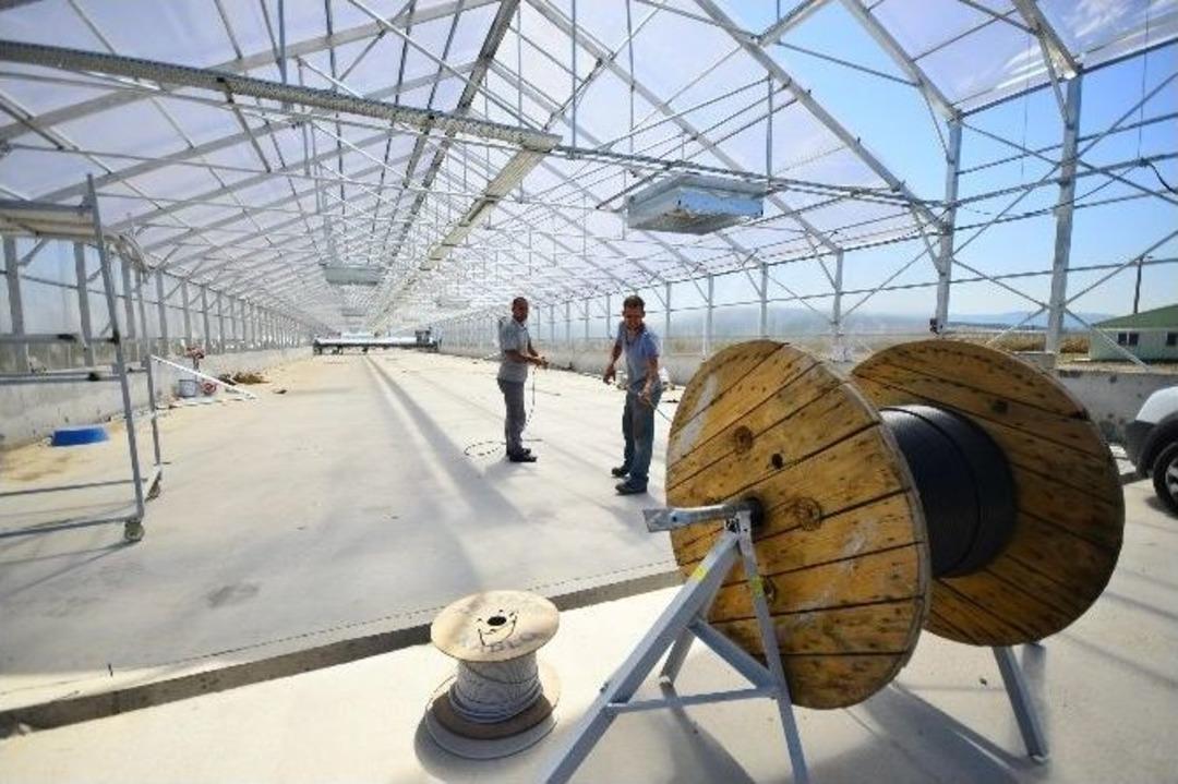 Bu Tesis &Ccedil;ocuklar İ&ccedil;in