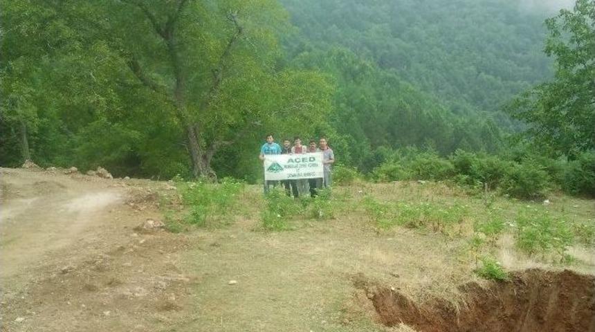 A&ccedil;ed: "yol A&ccedil;ma Bahanesiyle Yaylalar İşgal Ediliyor"