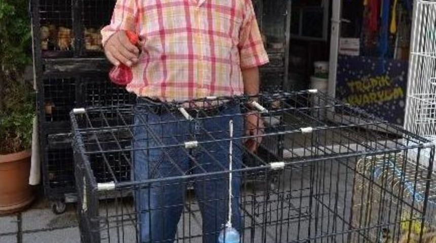 Evcil Hayvanları Serinleten Y&ouml;ntem