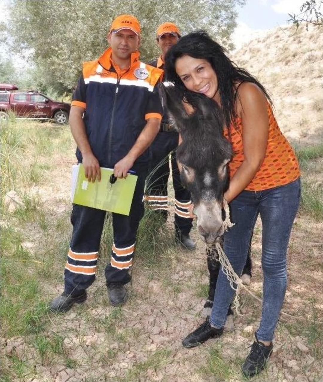 &Ouml;l&uuml;me Terk Edilen Eşek Artık Sahipsiz Değil