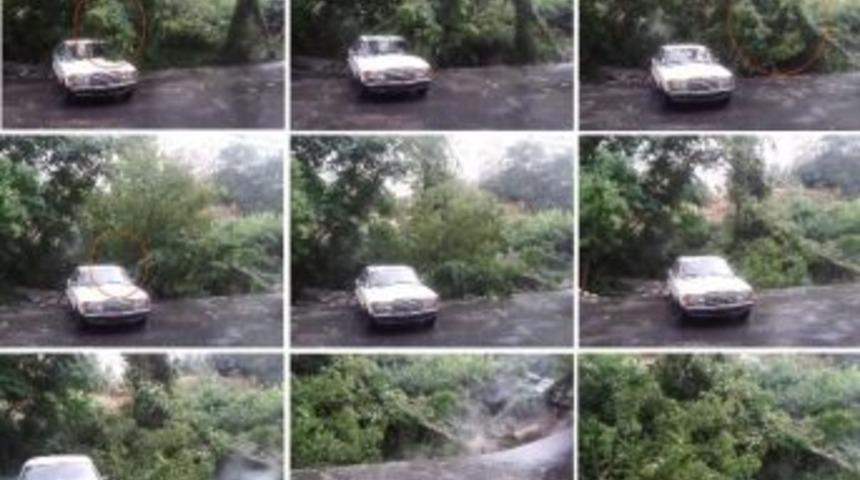 Yağmur Ağa&ccedil;ları Yuttu