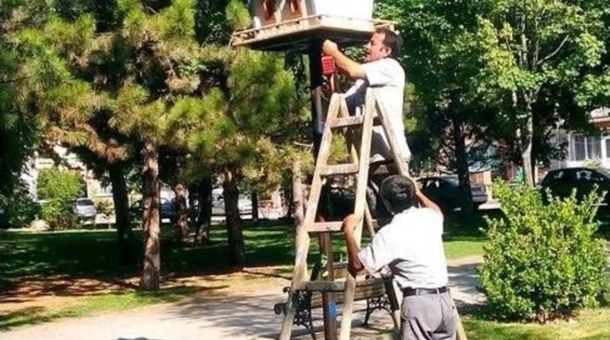 Kuş Evleri Yerleştirilmeye Devam Ediyor