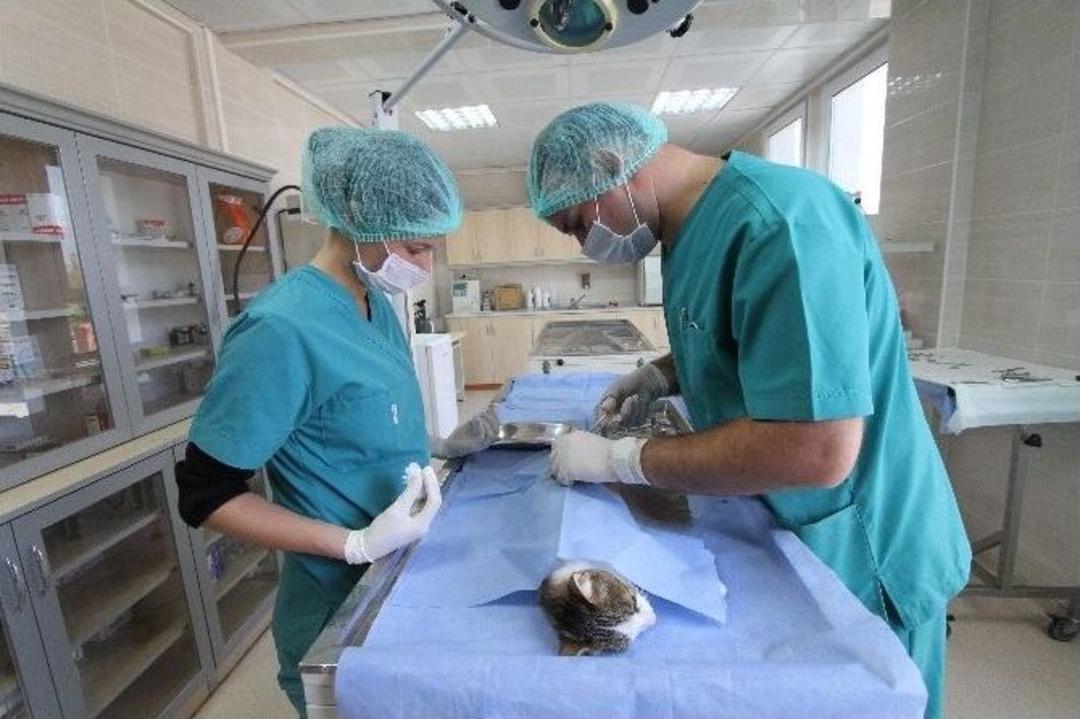 Can Dostlara Y&uuml;zde 100 Hizmet