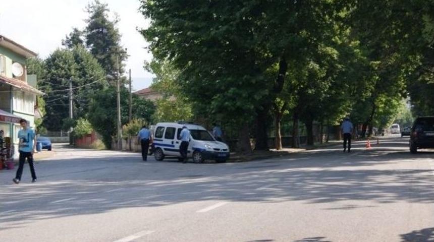 İl&ccedil;e Merkezinde Kuruyan Ağa&ccedil;lar Kesildi