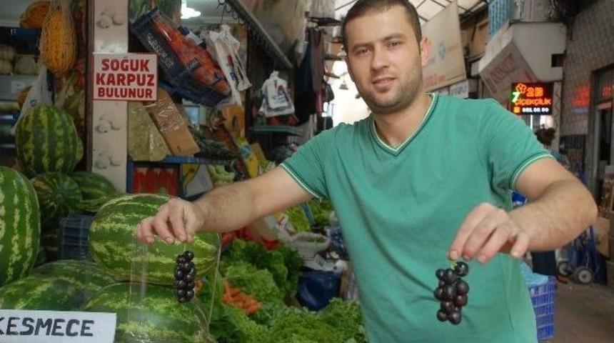 Kansere Karşı Etkili Olan Karayemiş Zonguldak&rsquo;ta Yetişiyor