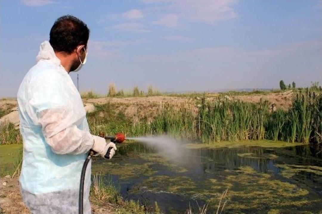 (&ouml;zel Haber) &ldquo;tatile Giderken Klozet Kapağınızı Kapatın&rdquo;