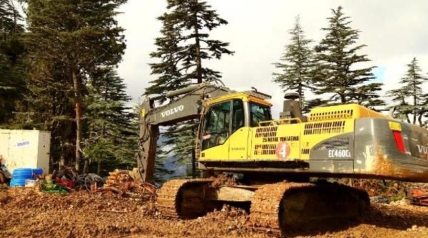 800 yıllık sedir ağa&ccedil;larını kestiler