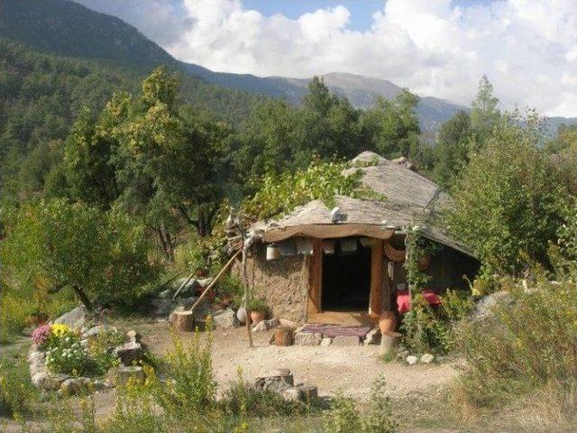 Onlar Yerli Robinson Crusoe 1