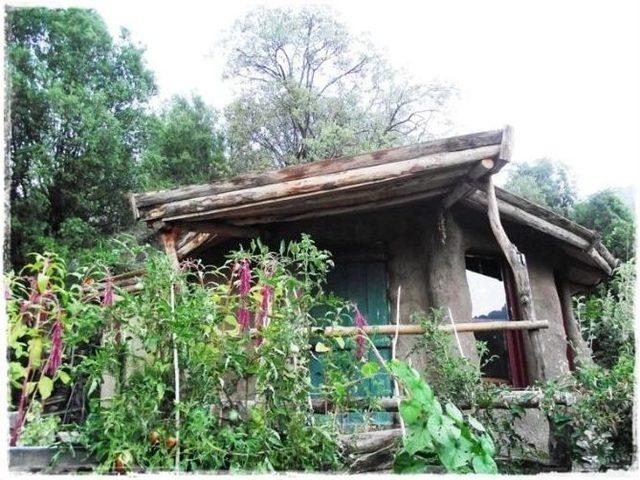 Onlar Yerli Robinson Crusoe 2