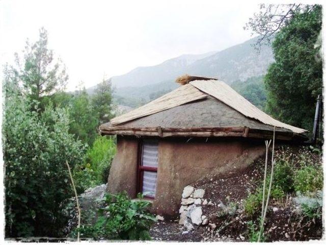 Onlar Yerli Robinson Crusoe 3