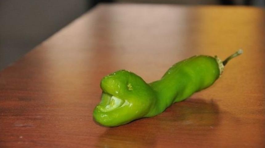 Yılan Şeklindeki Biber G&ouml;renleri Şaşırttı