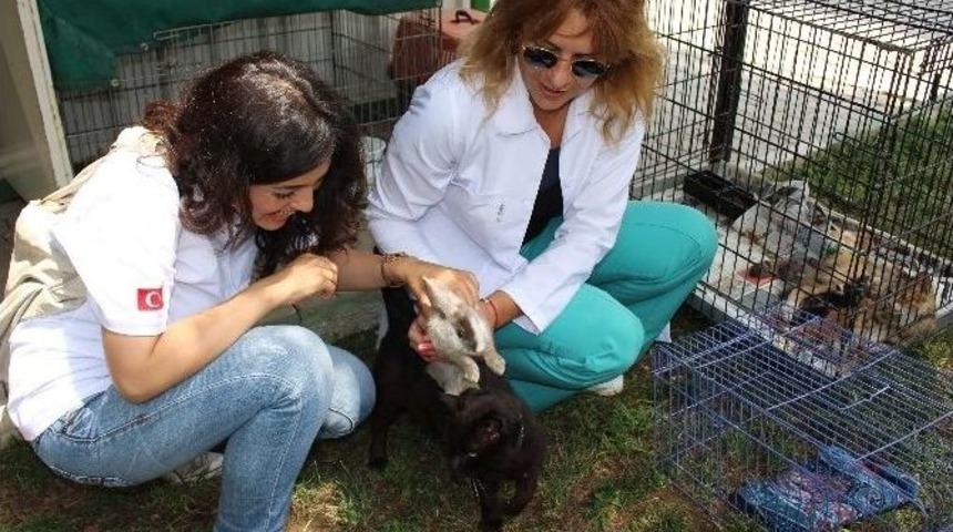 Gen&ccedil;lerin İyilik Ağacı B&uuml;y&uuml;yor