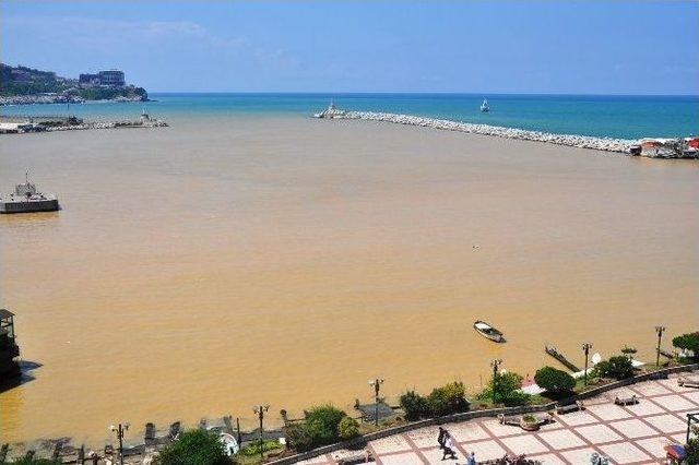 Karadeniz &Ccedil;amur G&ouml;l&uuml;ne D&ouml;nd&uuml; 1