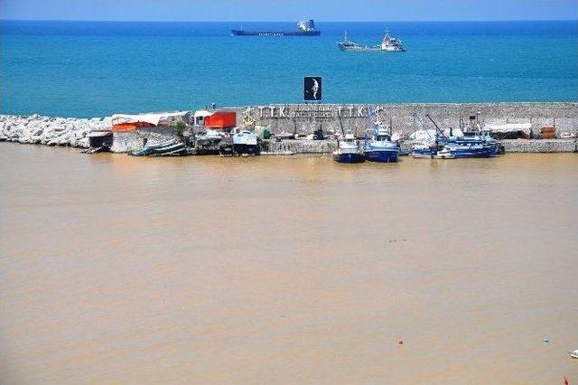 Karadeniz &Ccedil;amur G&ouml;l&uuml;ne D&ouml;nd&uuml; 2