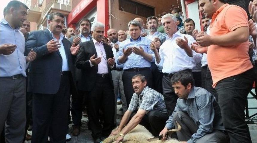G&uuml;m&uuml;şhane&rsquo;de Başbakan Erdoğan İ&ccedil;in Kurban Kesildi