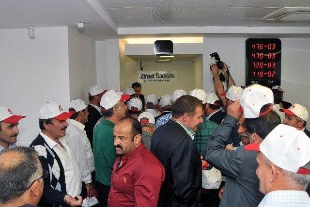 G&uuml;m&uuml;şhane&rsquo;de Başbakan Erdoğan İ&ccedil;in Kurban Kesildi 1