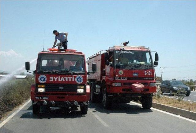 Sulama Kanalında Sazlık Yangını