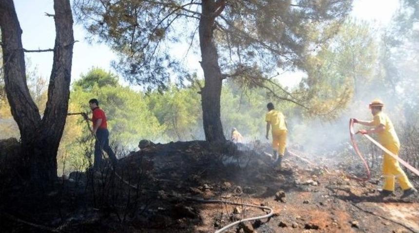 Orman Yangını B&uuml;y&uuml;meden S&ouml;nd&uuml;r&uuml;ld&uuml;