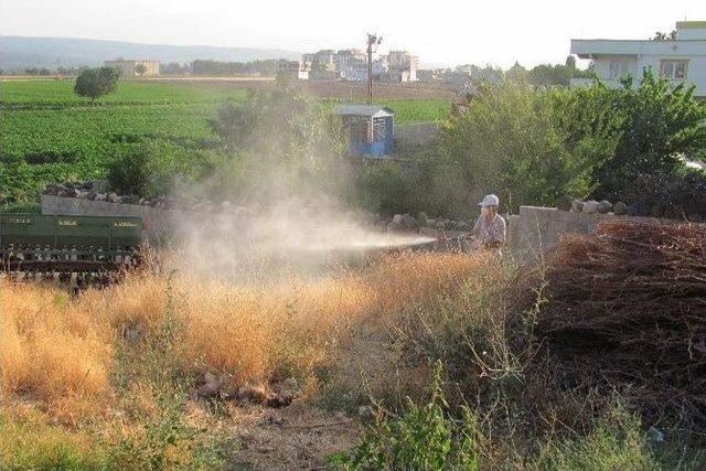 Araban da Haşerelere Karşı İlaçlı Mücadele 2