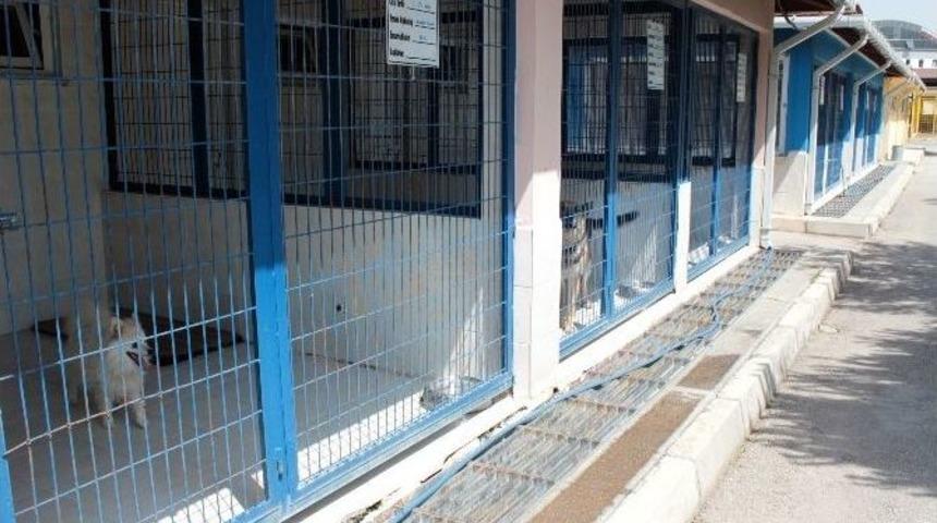 (&ouml;zel Haber) Bu Otelde Bayram &Ouml;ncesi Yer Kalmadı
