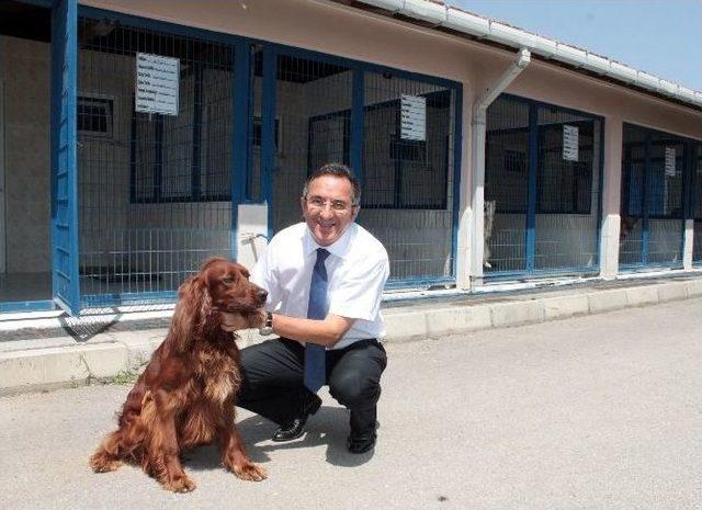 (&ouml;zel Haber) Bu Otelde Bayram &Ouml;ncesi Yer Kalmadı 1