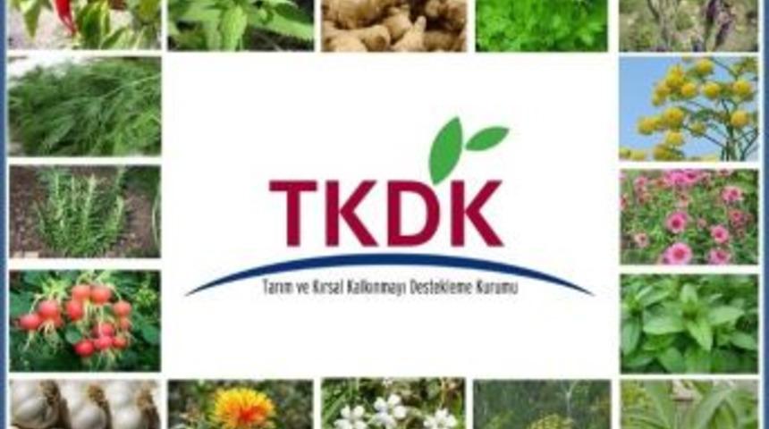 Tıbbi Ve Aromatik Bitki Yetiştiriciliğine Y&uuml;zde 50 Destek