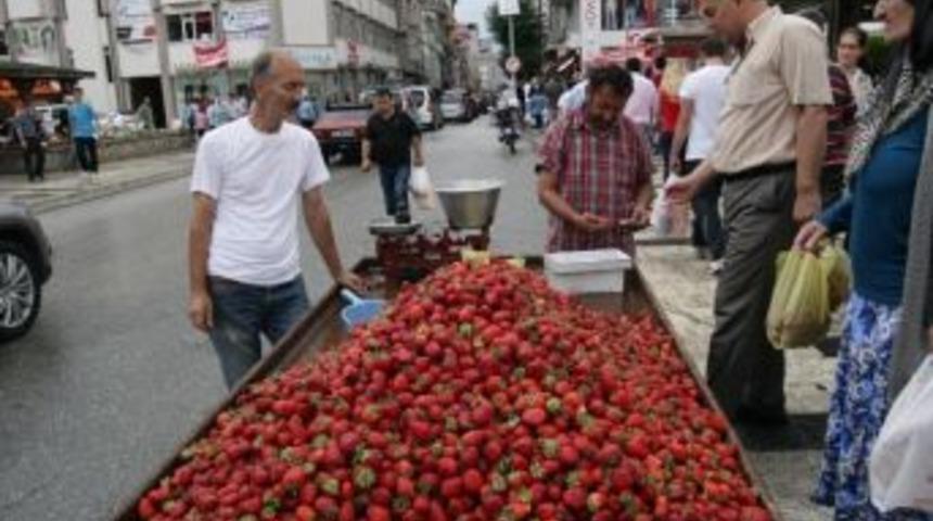 Yerli Doğal &Ccedil;ileğe B&uuml;y&uuml;k İlgi