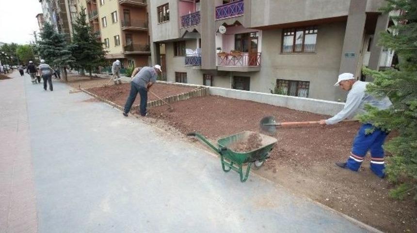 Odunpazarı Daha Da Yeşilleniyor