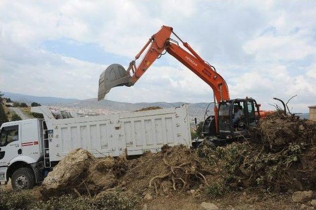&Uuml;niversitenin Hafriyatı Başlıyor 1