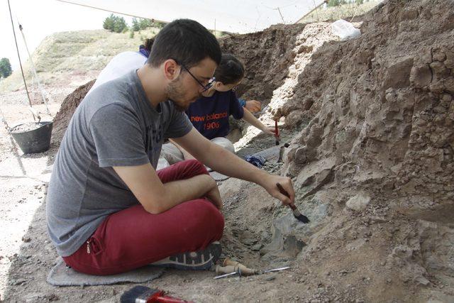 Çankırı'da 8,5 milyon yıllık fosiller gün yüzüne çıkarılıyor