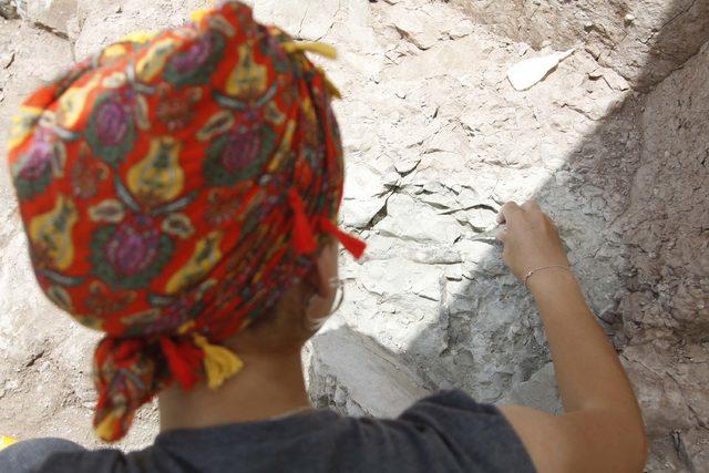 Çankırı'da 8,5 milyon yıllık fosiller gün yüzüne çıkarılıyor