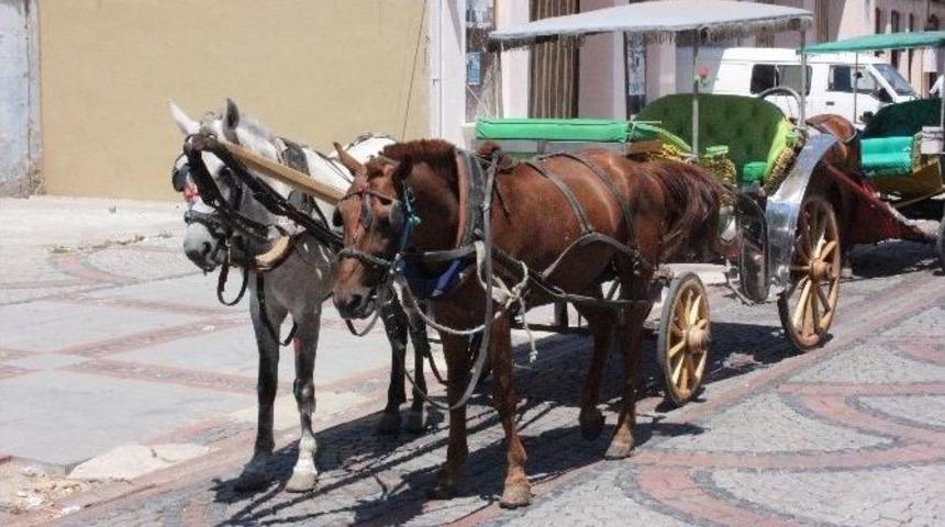 (&ouml;zel Haber) Faytoncuların Sıcakla İmtihanı