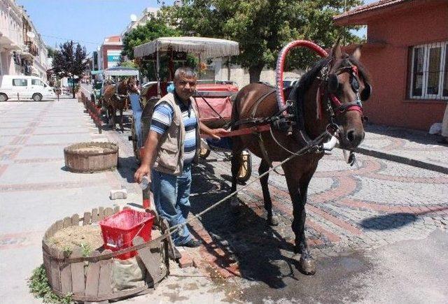 (özel Haber) Faytoncuların Sıcakla İmtihanı