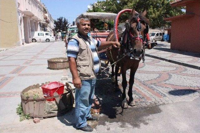 (özel Haber) Faytoncuların Sıcakla İmtihanı