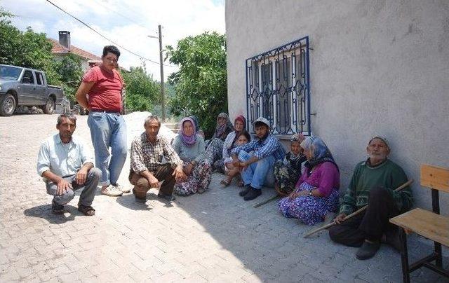 Orman Genel M&uuml;d&uuml;rl&uuml;ğ&uuml;nden Hibe Kredi 1