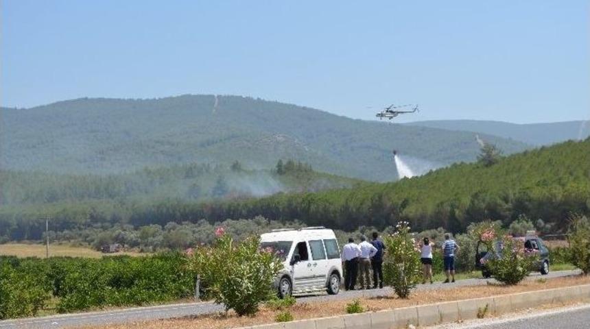 Sel&ccedil;uk'ta Orman Yangını