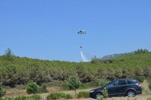 Sel&ccedil;uk ta Orman Yangını 1