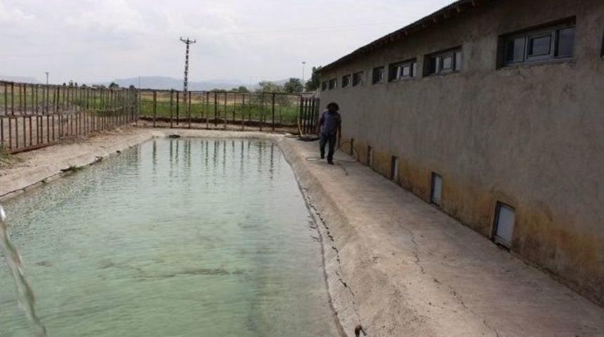 Yaban Hayvanları Emin Ellerde