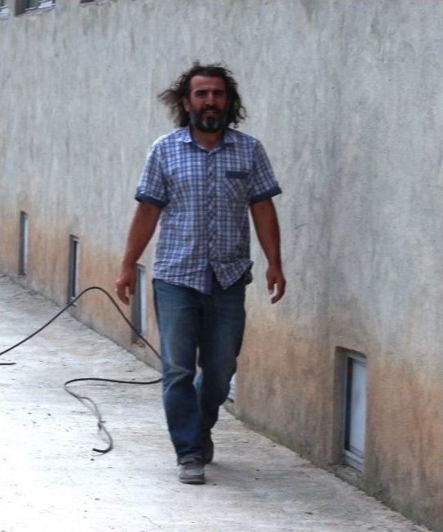 Yaban Hayvanları Emin Ellerde 3