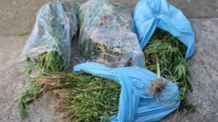 Samsun&rsquo;da Jandarmadan Uyuşturucu Operasyonu