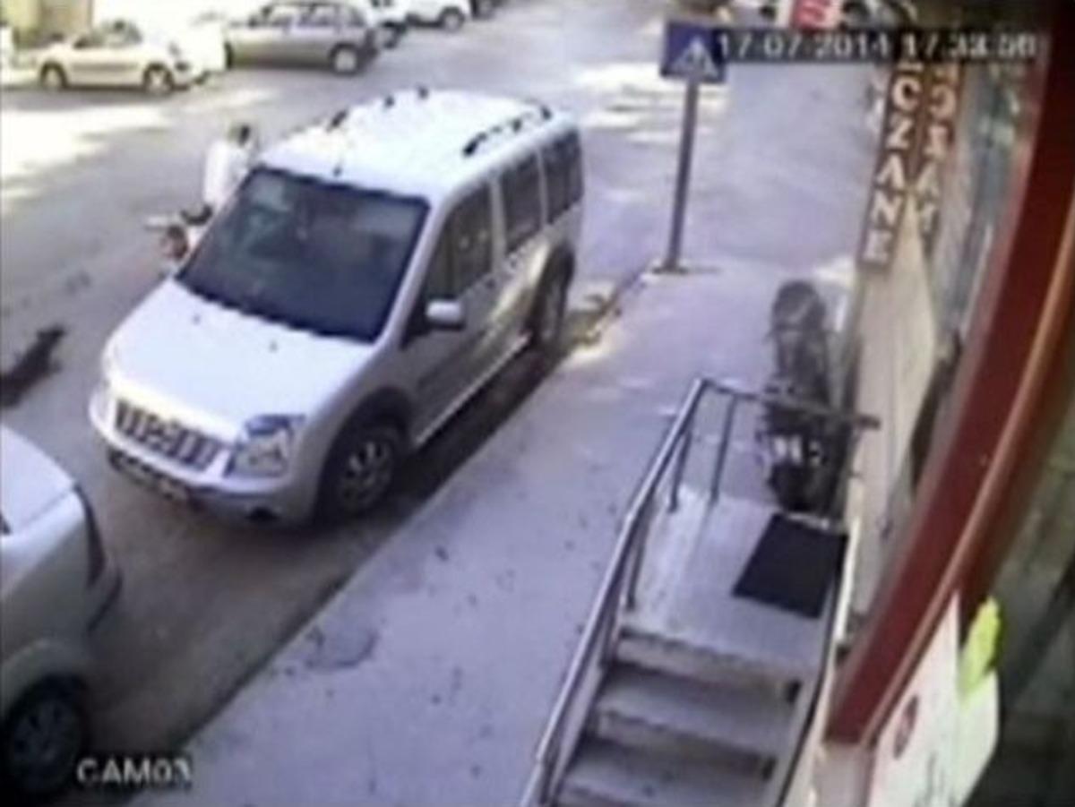 K&ouml;peği S&uuml;r&uuml;kleyen Kişiye Lin&ccedil; Girişimi