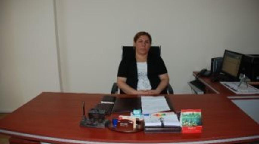 Ermenek Malm&uuml;d&uuml;rl&uuml;ğ&uuml;ne Atanan Bayar G&ouml;revine Başladı