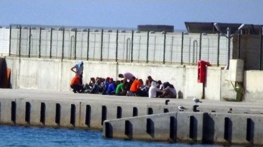 Didim'de Suriyeli 27 Ka&ccedil;ak Yakalandı