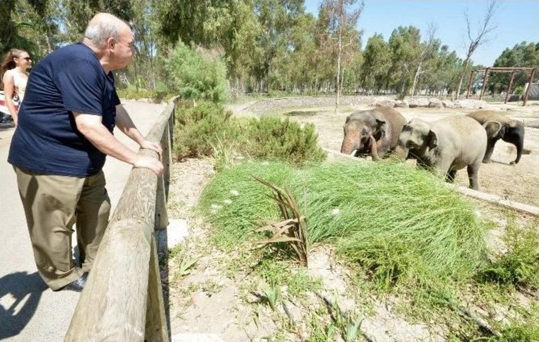 Doğal Yaşam Parkı'nda G&ouml;z Yaşartan Vefa