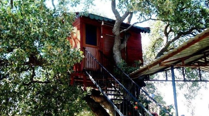 Sarıg&ouml;l&rsquo;de Kocaaslan Ailesi Ağa&ccedil;konduda Yaşıyor