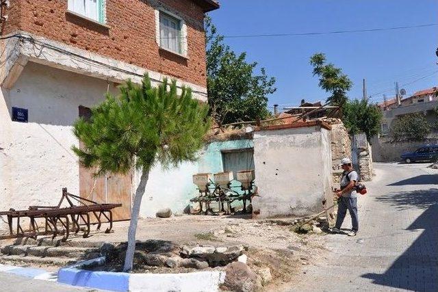 Fo&ccedil;a Belediyesi nden &Ccedil;evre Seferberliği 1