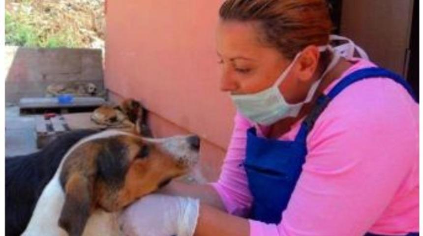 Zonguldak Bakımevine İkinci Veteriner Hekim