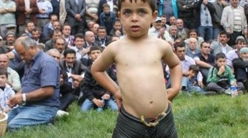 Kumru Şenliğe Hazır